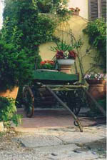 foto agriturismo