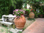 foto agriturismo